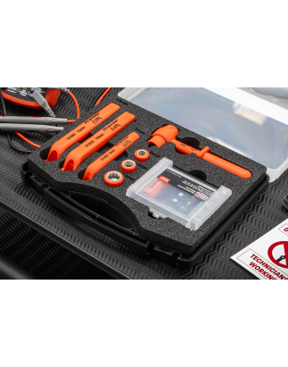 Hybrid & Electric Vehicle Battery Tool Kit 19pc