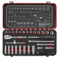 Socket Set 49pc 1/4"Sq Drive Premier Platinum