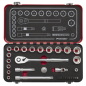Socket Set 3/8"Sq Drive 31pc - Premier Platinum