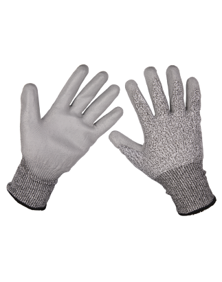 Worksafe® Anti-Cut PU Gloves (Cut Level C), Large - Pair