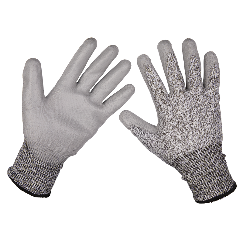 Worksafe® Anti-Cut PU Gloves (Cut Level C), Large - Pair