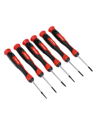 Precision Screwdriver Set 6pc