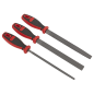 Premier Rasp File Set 3pc