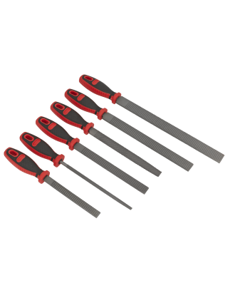 Premier Rasp File Set 6pc