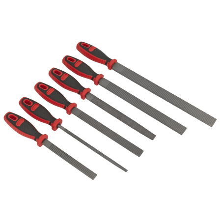 Premier Rasp File Set 6pc