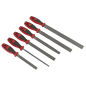 Premier Rasp File Set 6pc