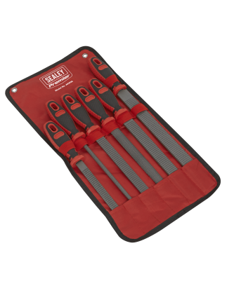 Premier Rasp File Set 6pc