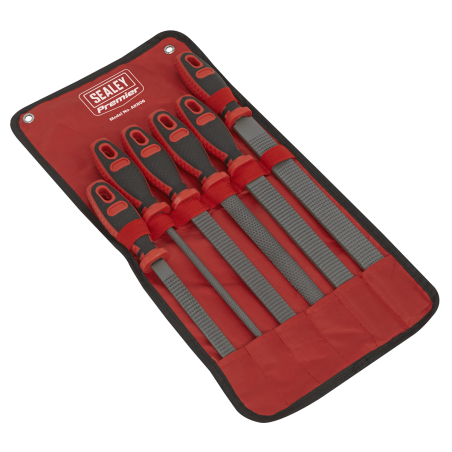 Premier Rasp File Set 6pc