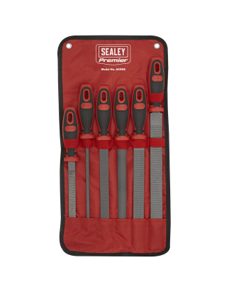 Premier Rasp File Set 6pc