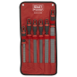 Premier Rasp File Set 6pc