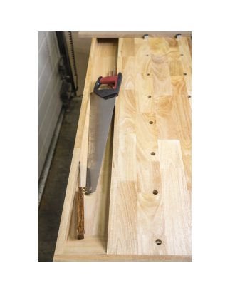 Woodworking Bench