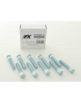 Stud set for Ford vehicles (10 pieces), length 40 mm