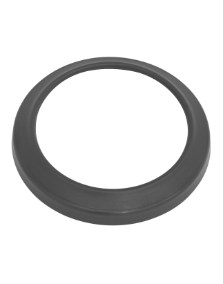 Worksafe® Ring for Pre-Filter - Pack of 2