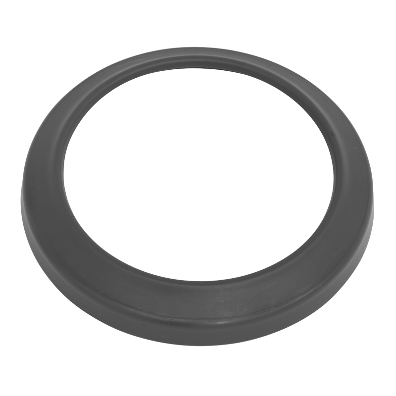 Worksafe® Ring for Pre-Filter - Pack of 2